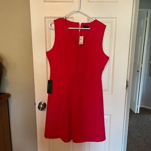 Limited vibrant pink dress.